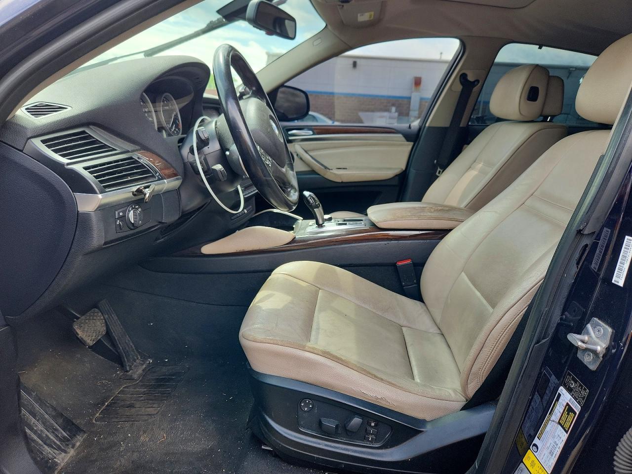 2010 BMW X6