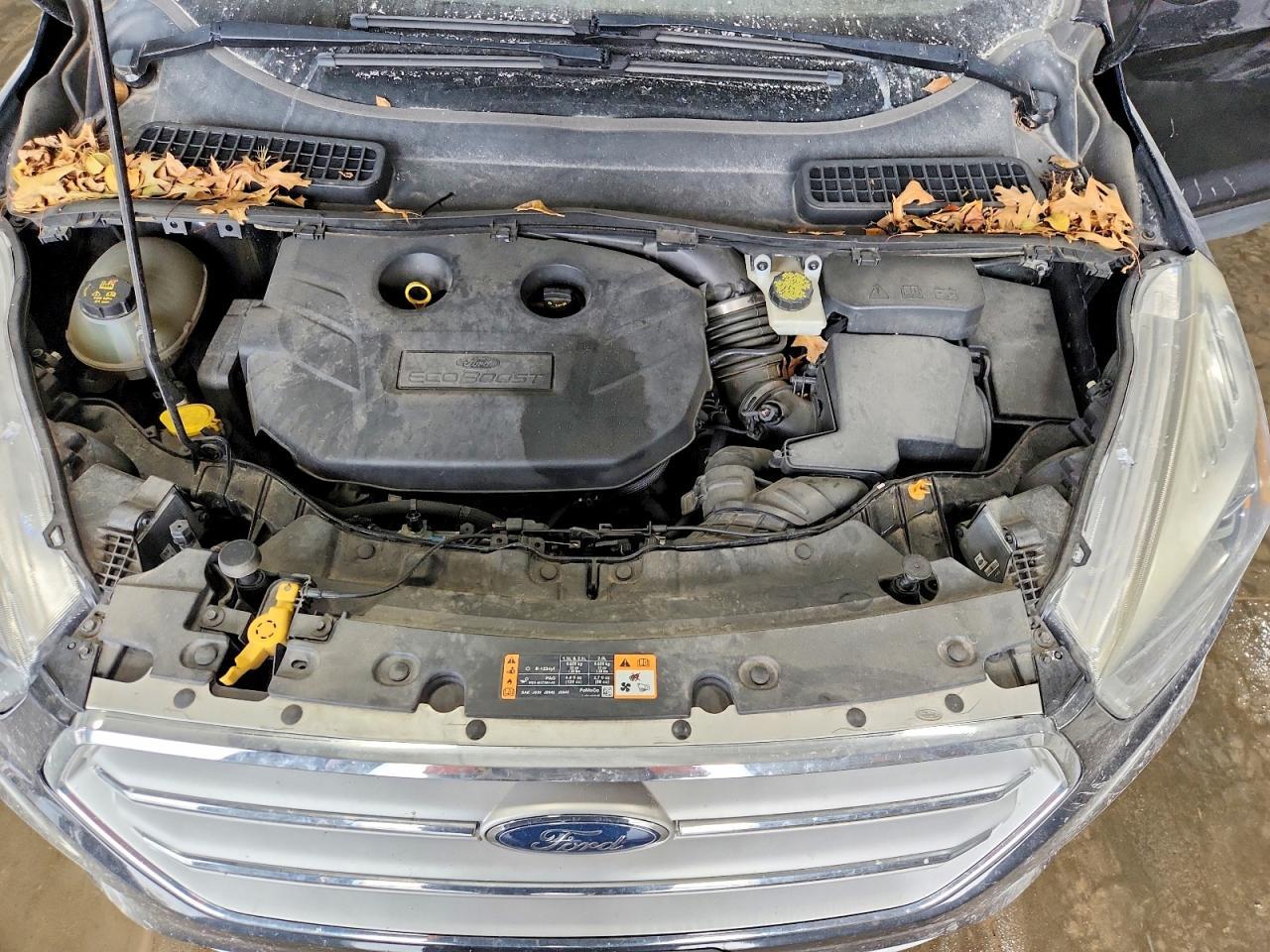 2019 FORD ESCAPE