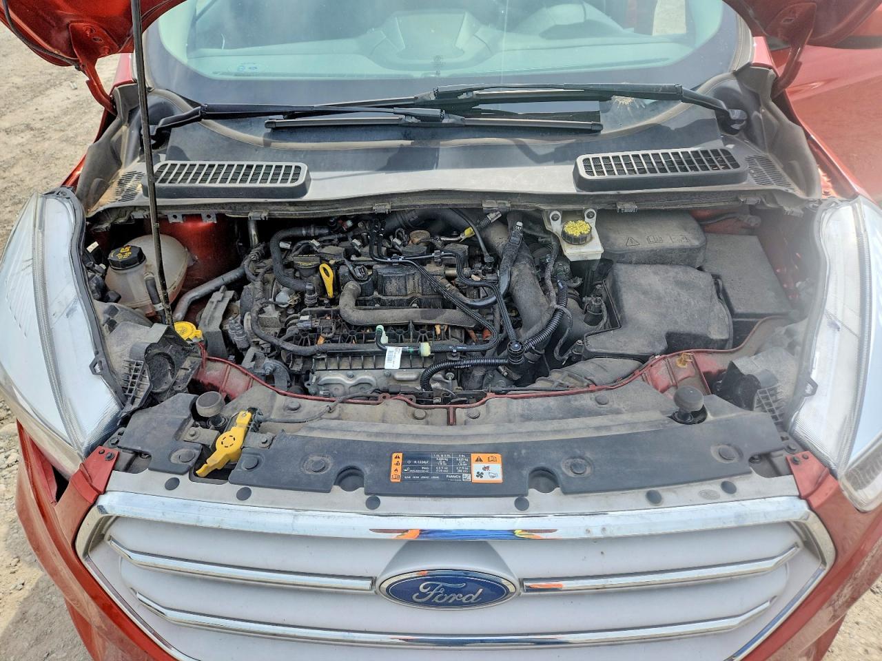 2019 FORD ESCAPE