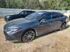 2022 TOYOTA Avalon