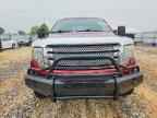 2013 FORD F-150 Lightning