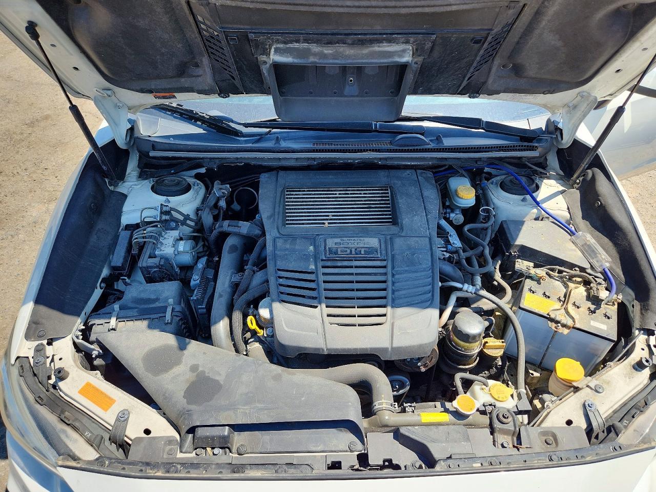 2019 SUBARU WRX