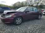 2010 HONDA ACCORD