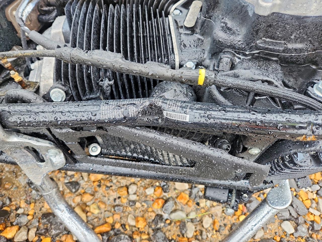 2021 HARLEY-DAVIDSON Fxst