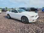 2013 FORD MUSTANG