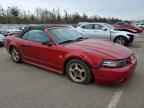 2004 FORD MUSTANG