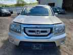 2011 HONDA PILOT