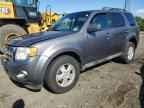 2010 FORD ESCAPE