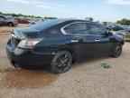 2013 NISSAN Maxima