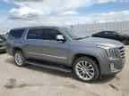 2019 CADILLAC ESCALADE
