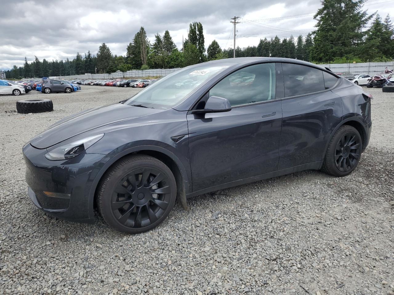 2024 TESLA MODEL Y