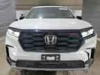2024 HONDA PILOT