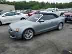 2010 AUDI A5