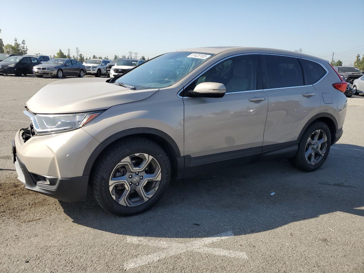 2019 HONDA CR-V