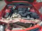 2010 FORD MUSTANG