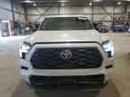2024 TOYOTA Sequoia