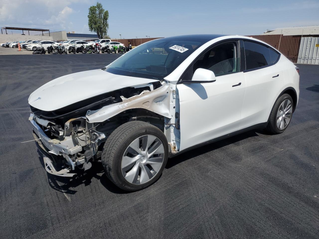2024 TESLA MODEL Y