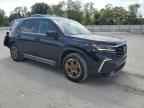 2024 HONDA PILOT
