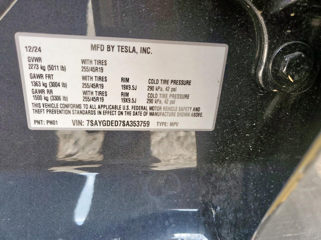 2025 TESLA MODEL Y