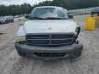 2002 DODGE Dakota