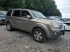 2010 HONDA PILOT