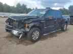 2013 FORD F-150 Lightning