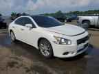 2010 NISSAN Maxima