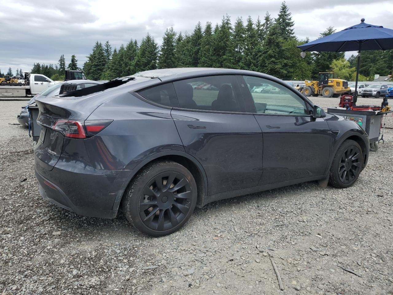 2024 TESLA MODEL Y