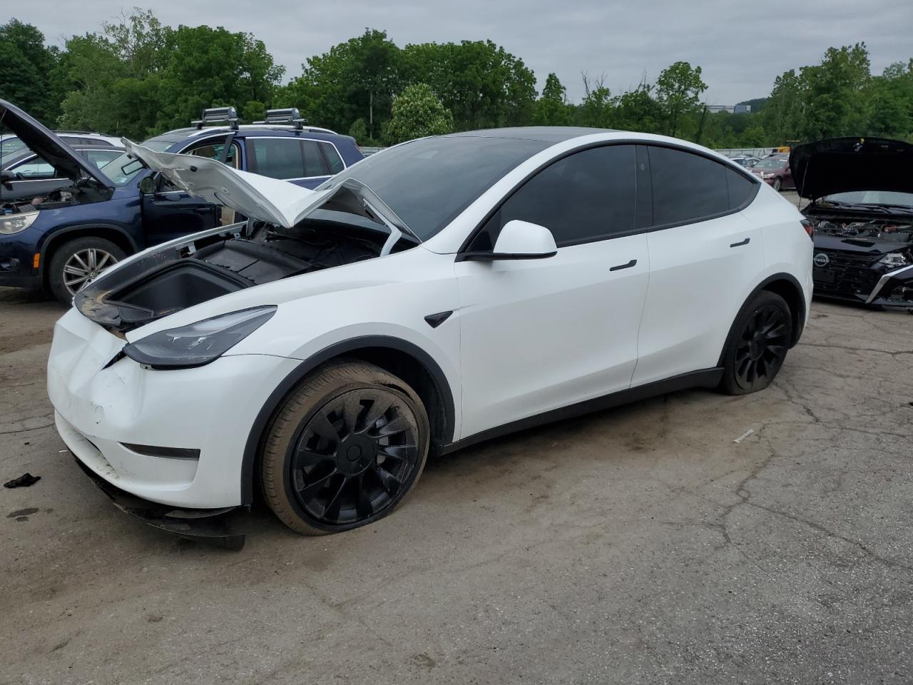 2024 TESLA MODEL Y