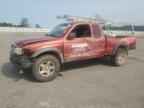 2004 TOYOTA TACOMA