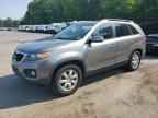 2011 KIA SORENTO