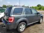 2009 FORD ESCAPE