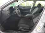 2025 HONDA ACCORD