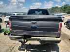 2009 FORD F-150