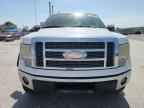 2009 FORD F-150