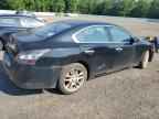 2013 NISSAN Maxima