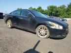 2013 NISSAN Maxima