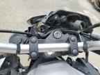 2025 YAMAHA MTN320