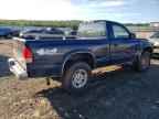 2004 DODGE Dakota