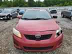 2010 TOYOTA COROLLA