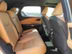 2025 LEXUS RX 350