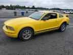 2005 FORD MUSTANG
