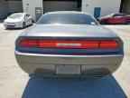 2013 DODGE Challenger