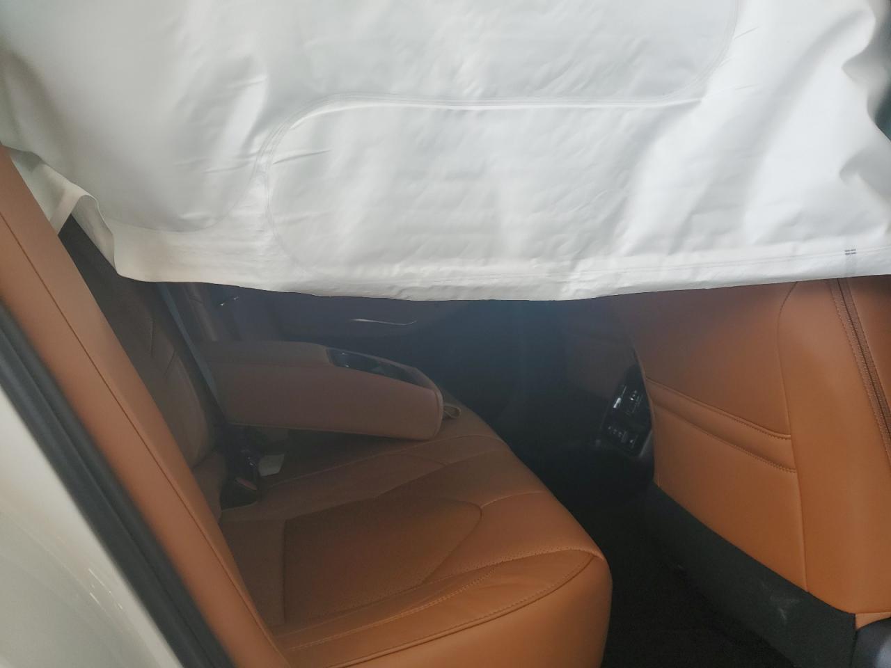 2019 TOYOTA Avalon