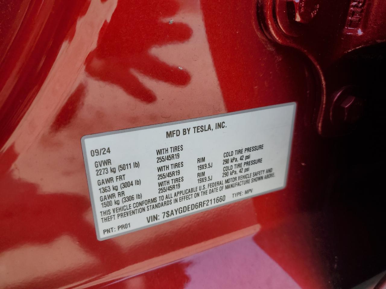 2024 TESLA MODEL Y