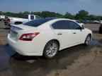 2010 NISSAN Maxima