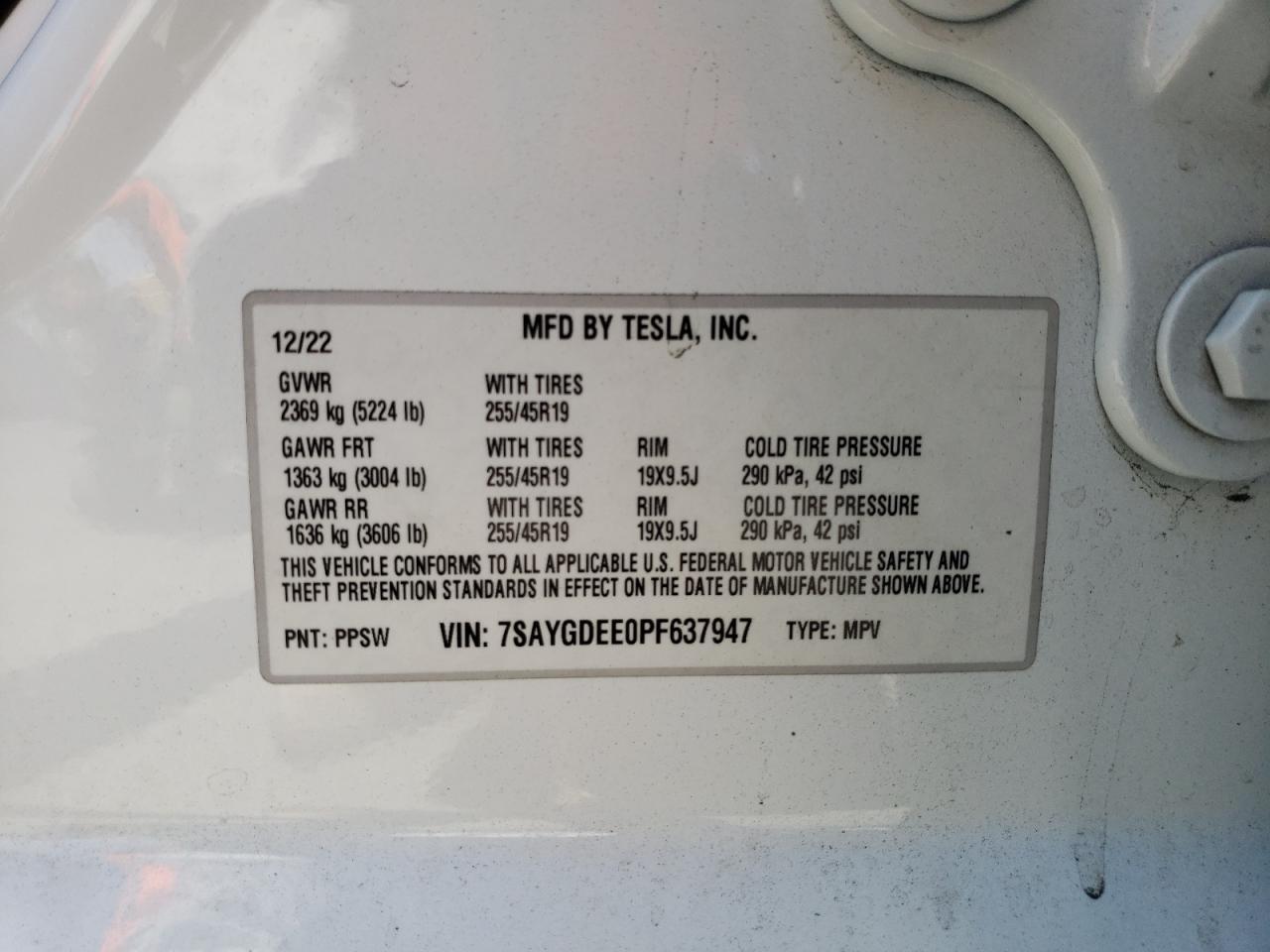 2023 TESLA MODEL Y