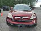 2007 HONDA CR-V