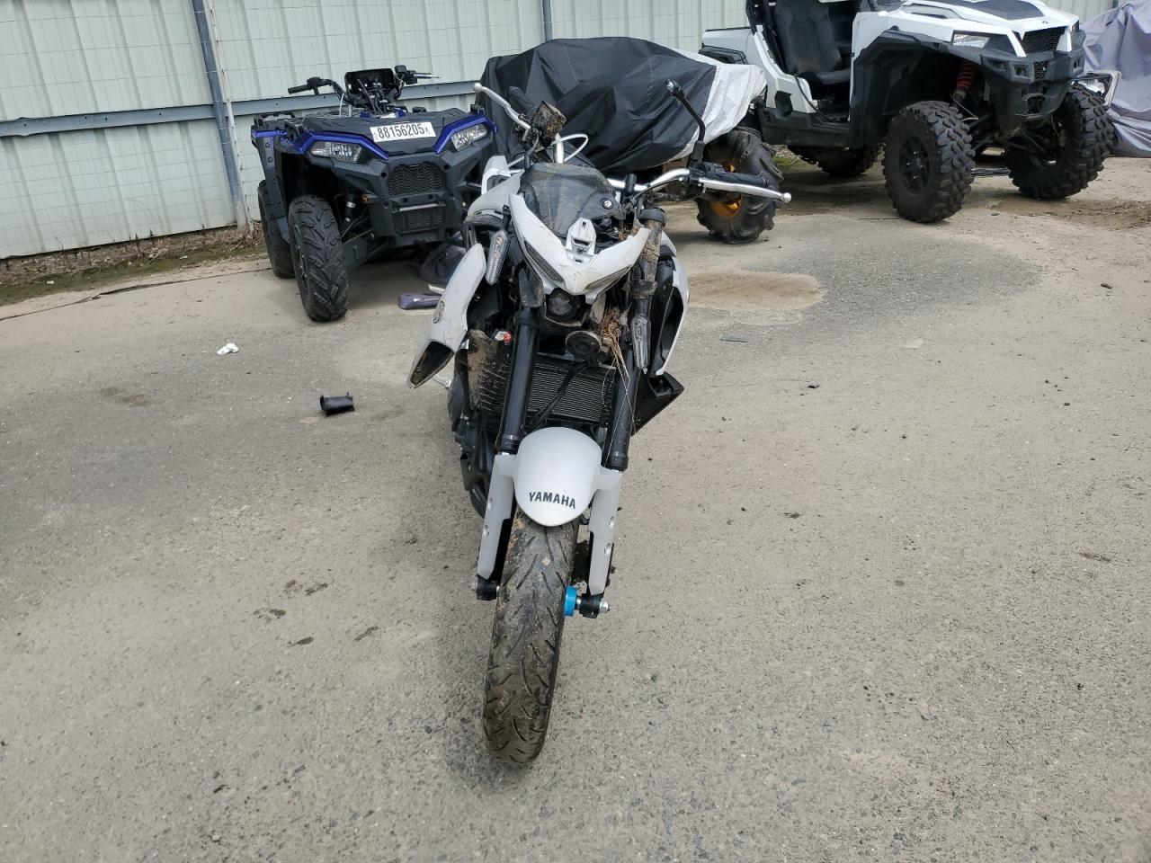 2025 YAMAHA MTN320