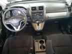 2010 HONDA CR-V